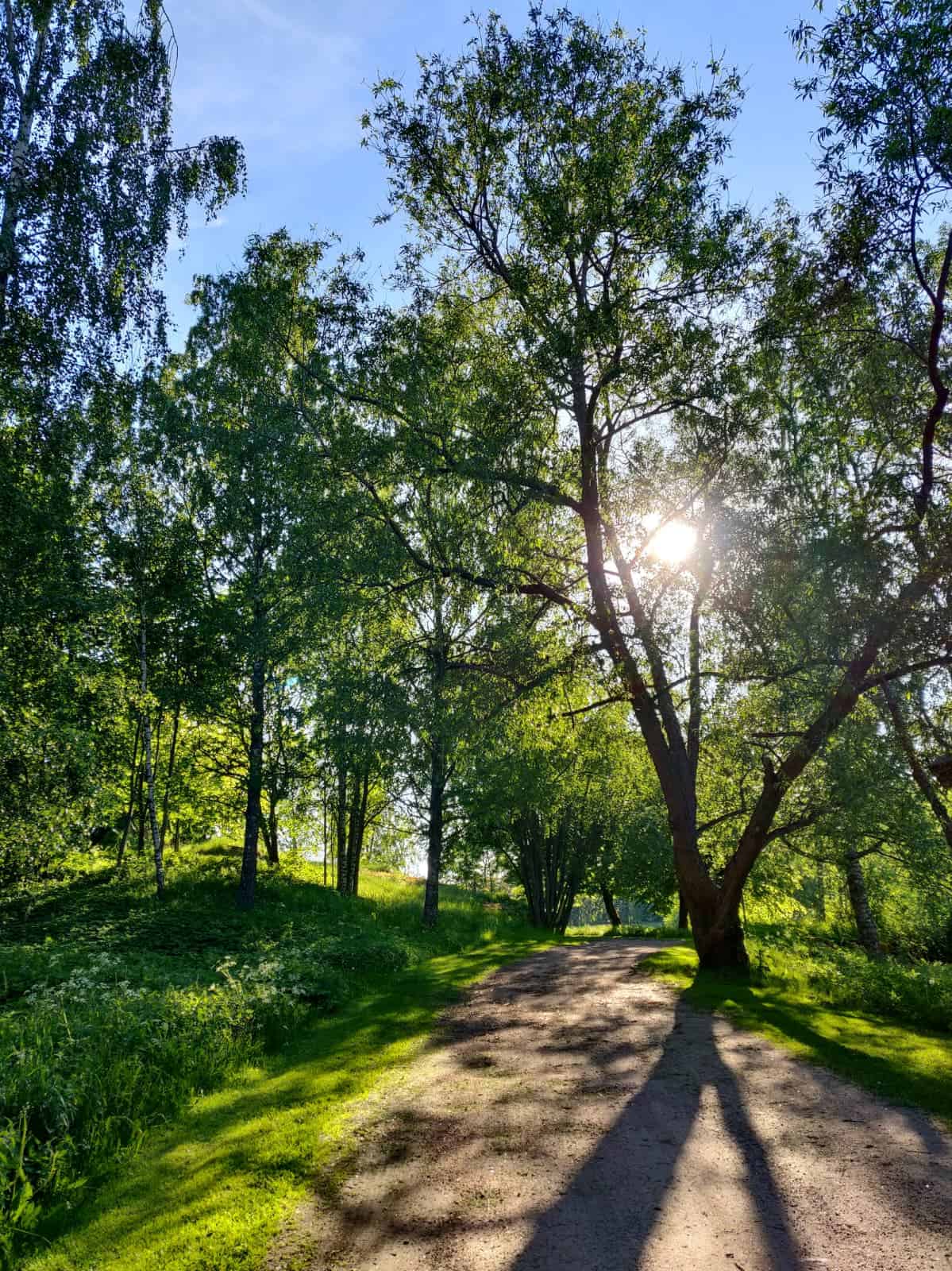 Paras D-vitamiini Suomessa 2026 – testi, vertailu ja oikea annostus